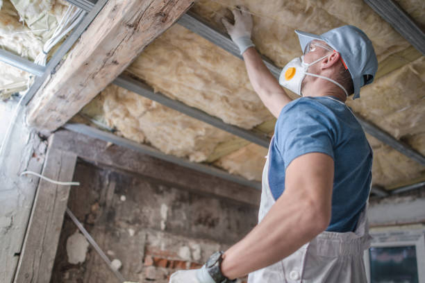 Best Insulation Materials and Products in Chino Hills, CA